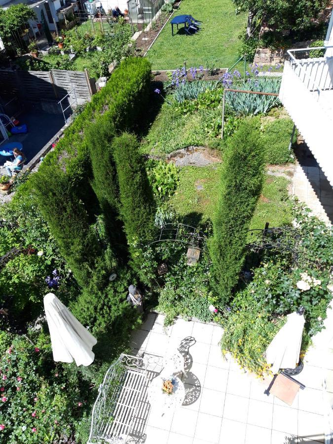 Residenz Am Berg Lägenhet Leimen  Exteriör bild