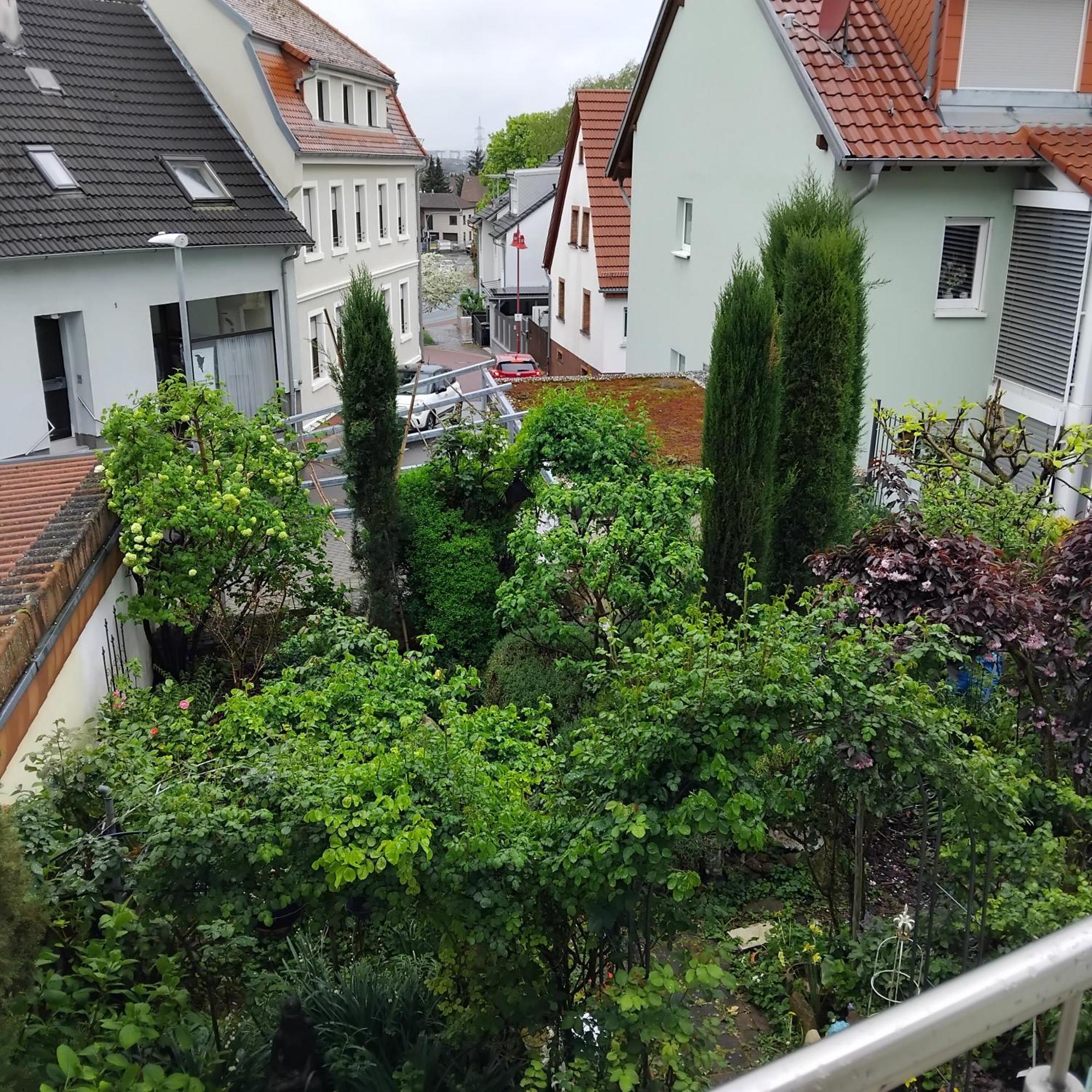 Residenz Am Berg Lägenhet Leimen  Exteriör bild